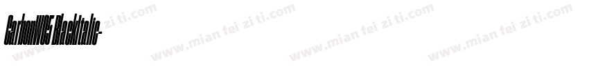 CarbonW05 BlackItalic字体转换